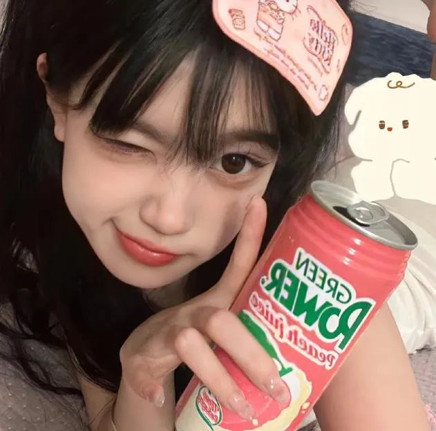 法网追凶